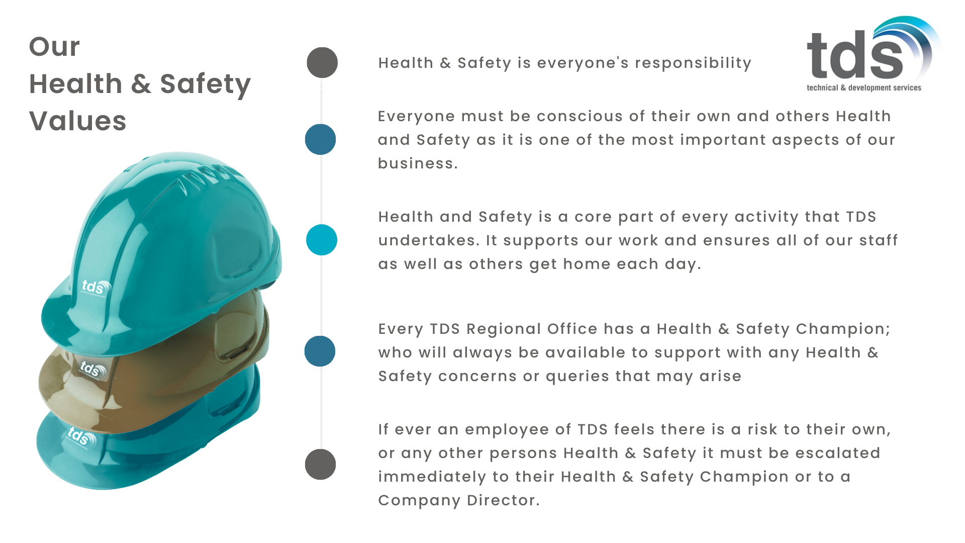 TDS Group Health & Safety Values